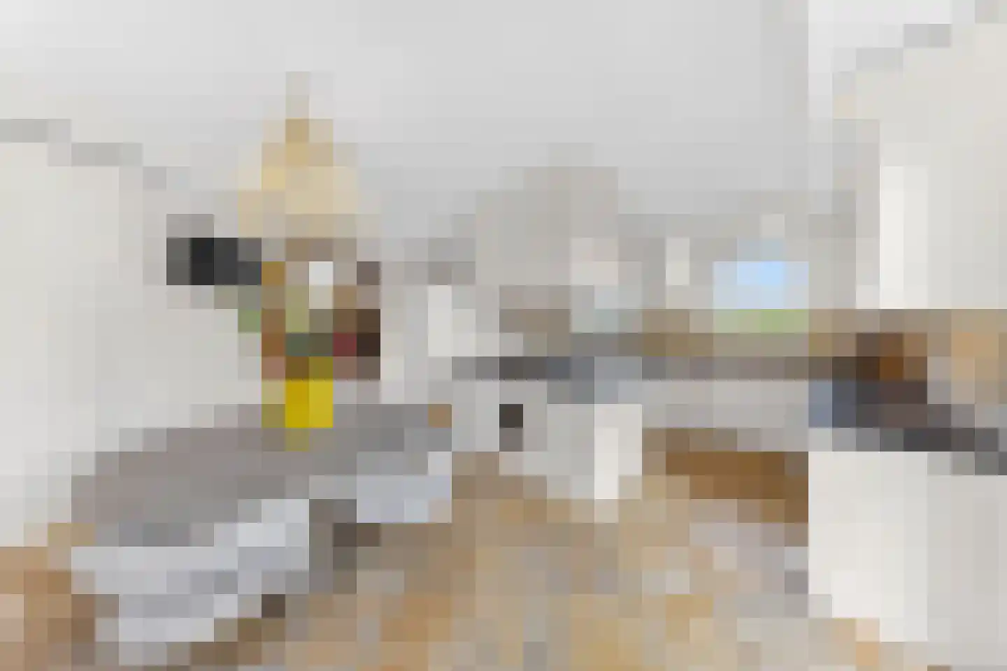 De Grent 2 Noordwijk thumbnail 7