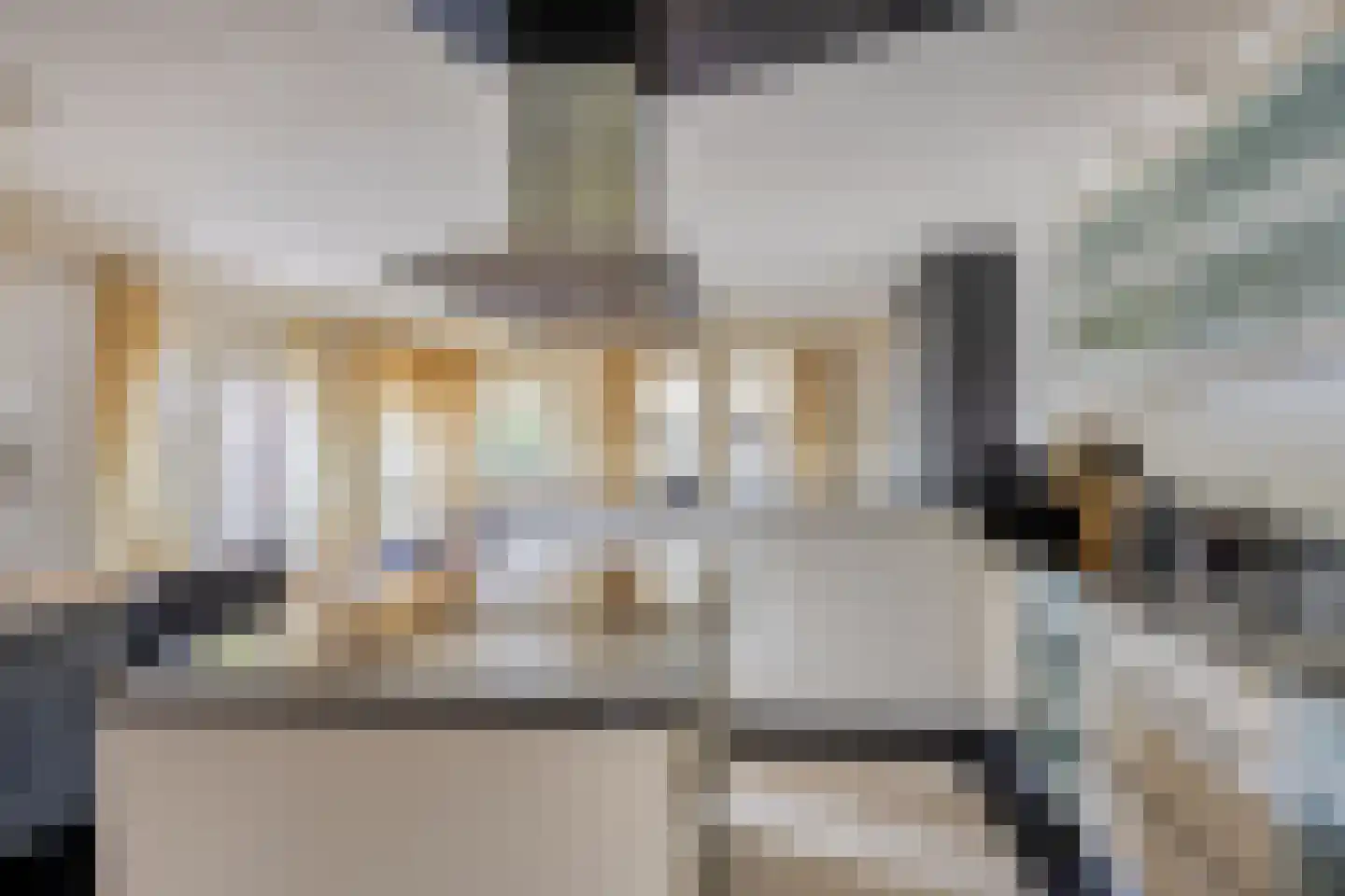 de Greune 14 Haaksbergen thumbnail 17