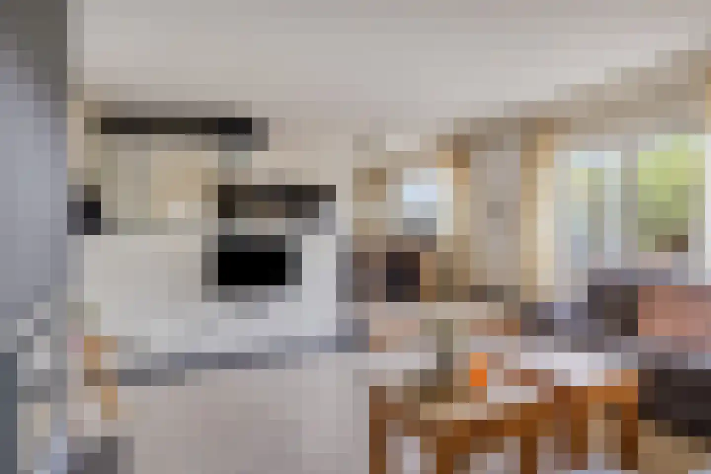 de Greune 14 Haaksbergen thumbnail 24