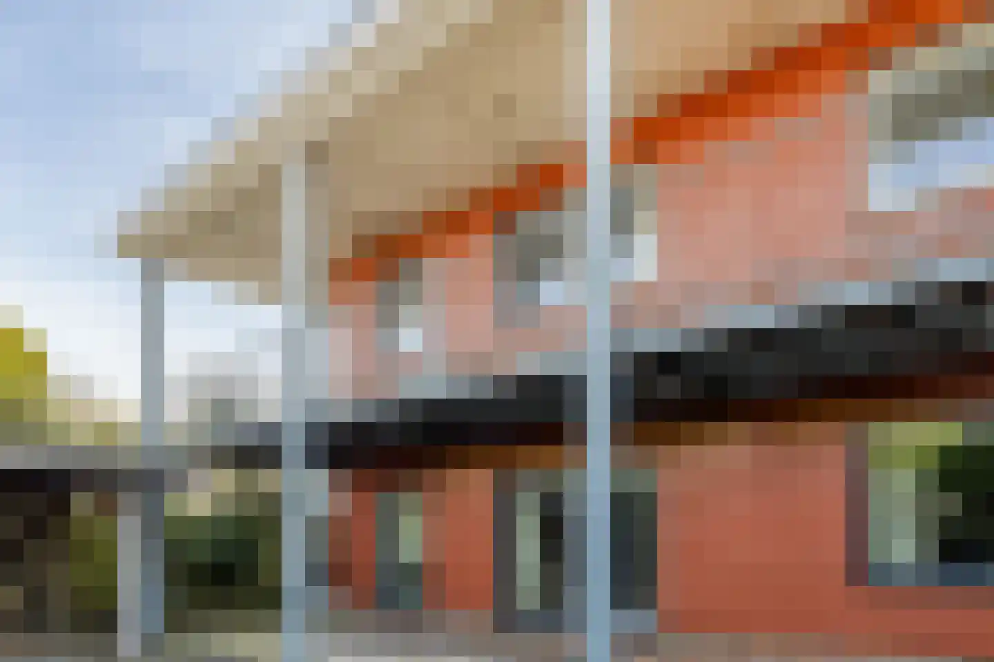de Greune 14 Haaksbergen thumbnail 5