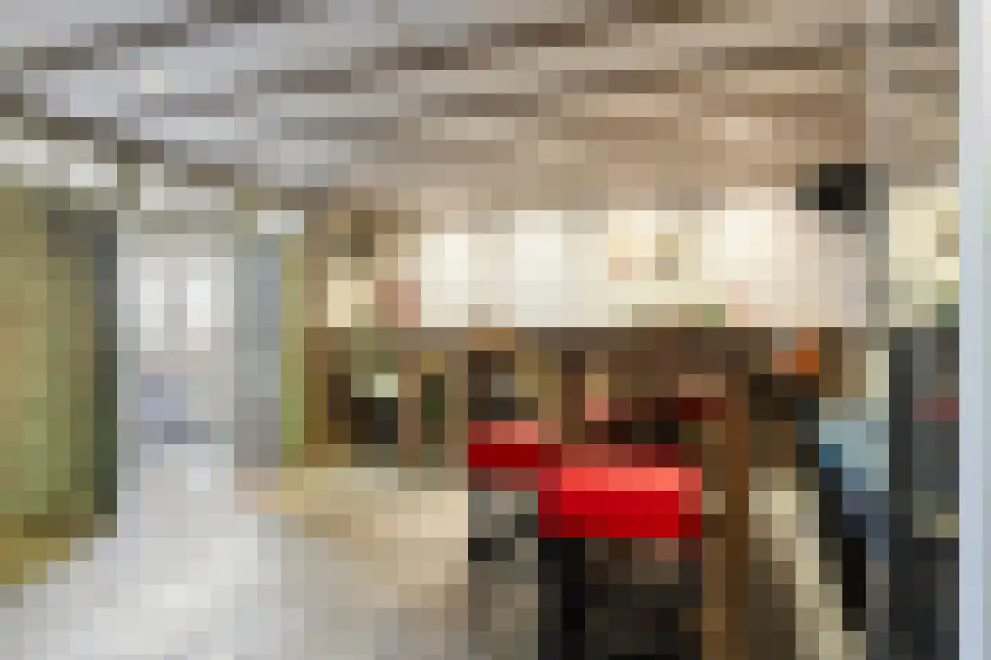 de Greune 14 Haaksbergen thumbnail 56