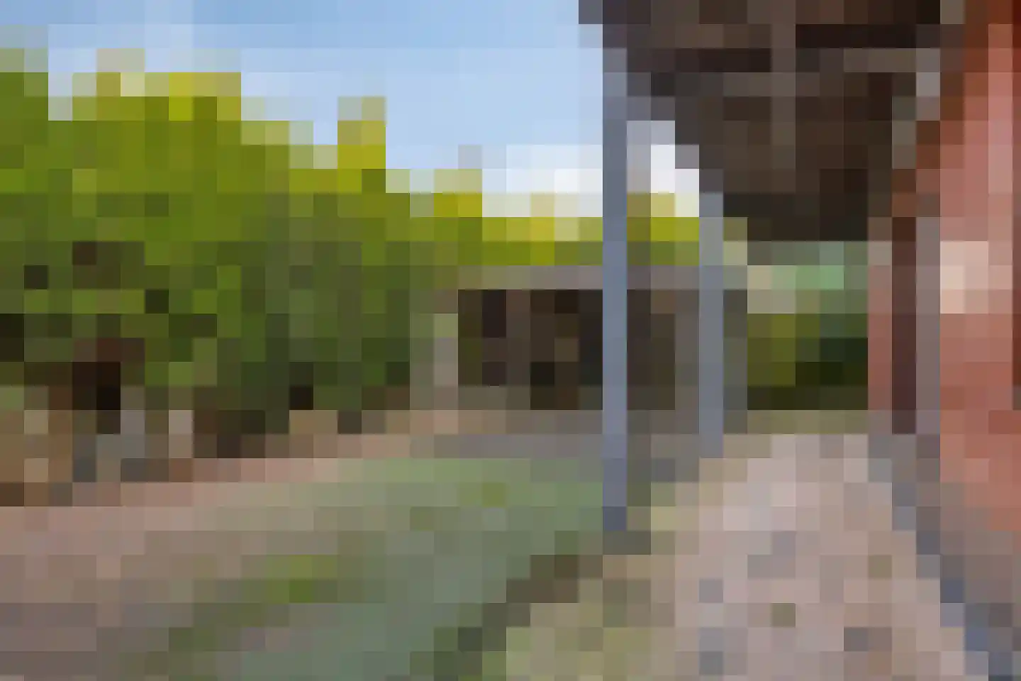 de Greune 14 Haaksbergen thumbnail 6