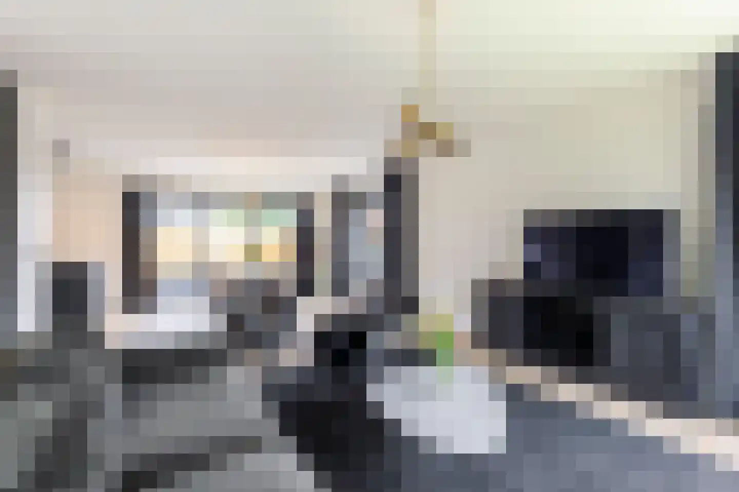 De Griend 1 Ameide thumbnail 12