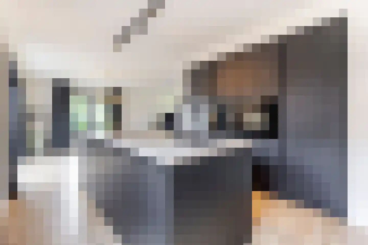 De Griend 1 Ameide thumbnail 20