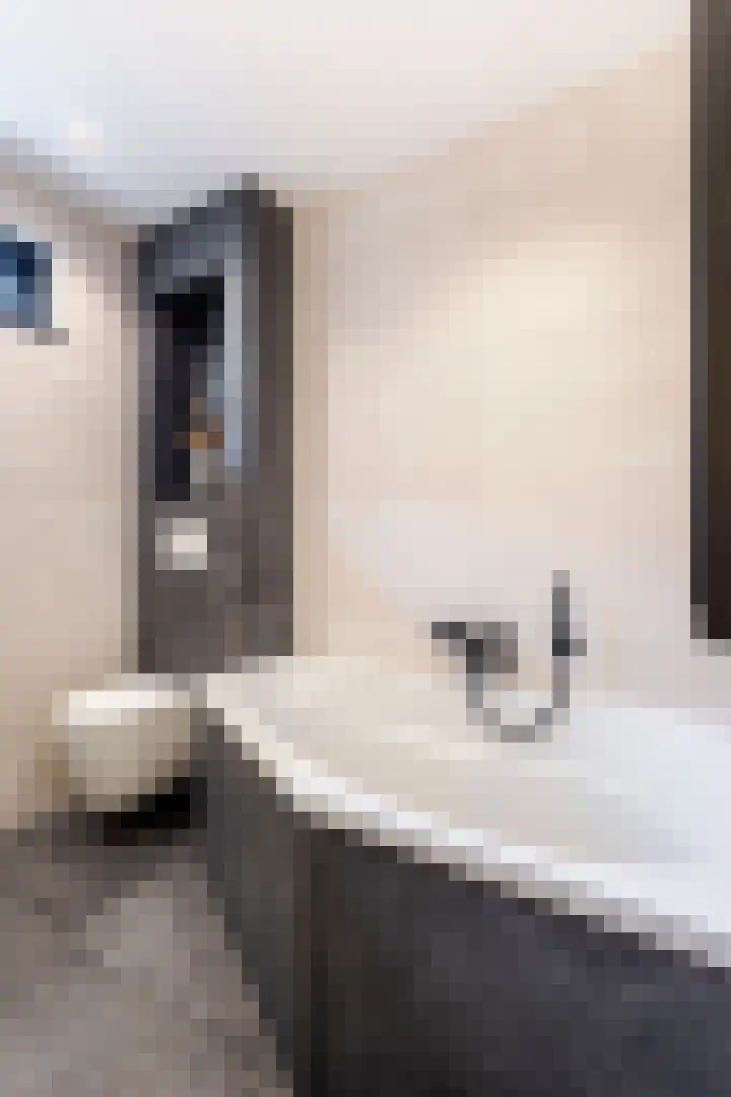 De Griend 1 Ameide thumbnail 34