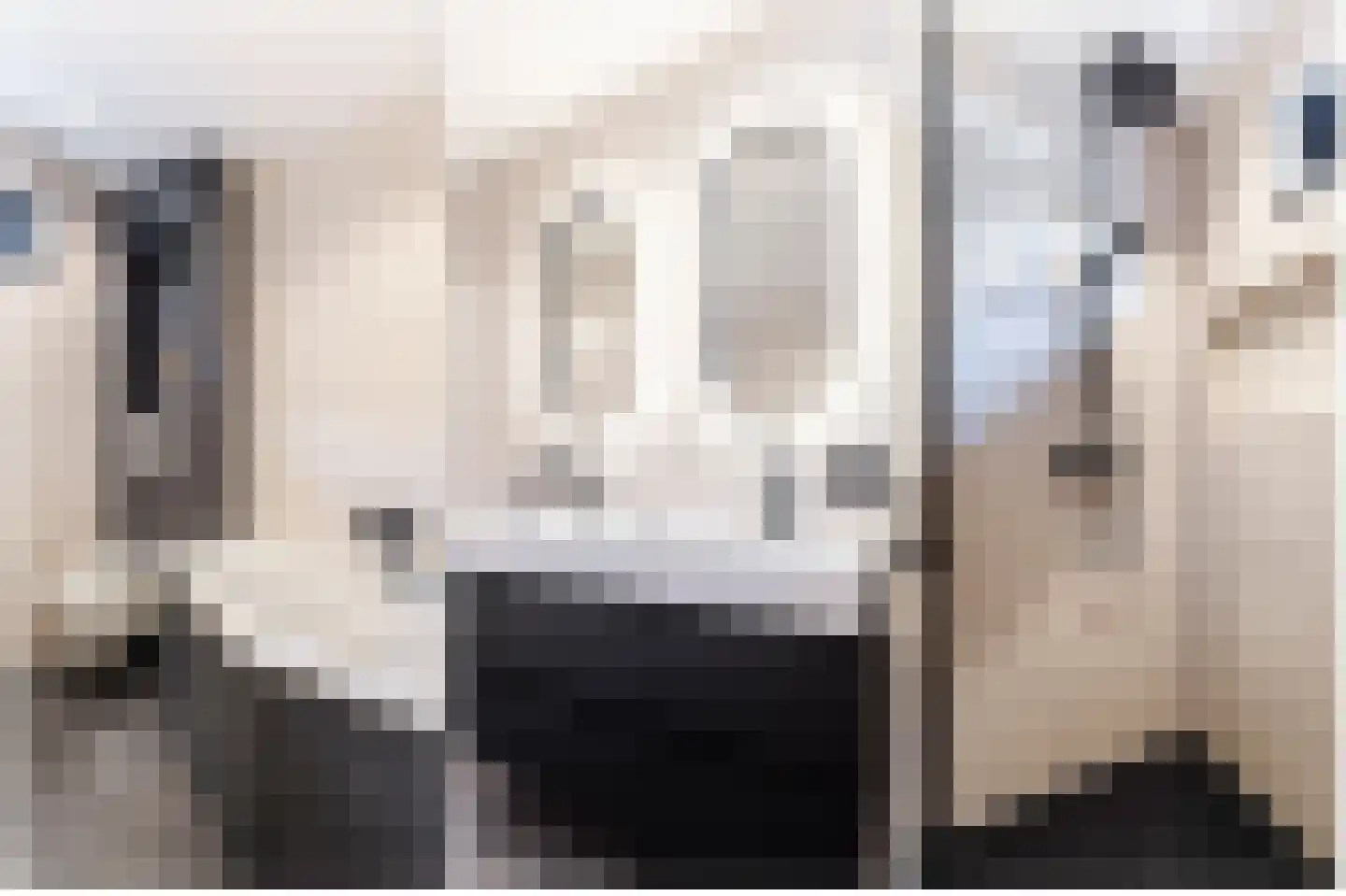 De Griend 1 Ameide thumbnail 37