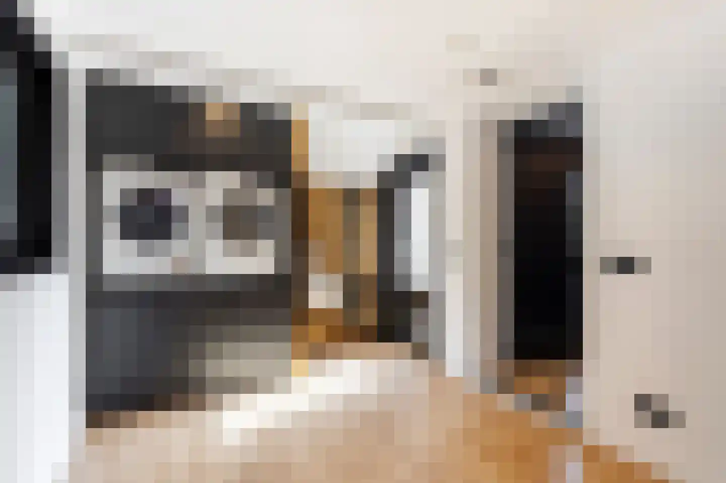 De Griend 1 Ameide thumbnail 40