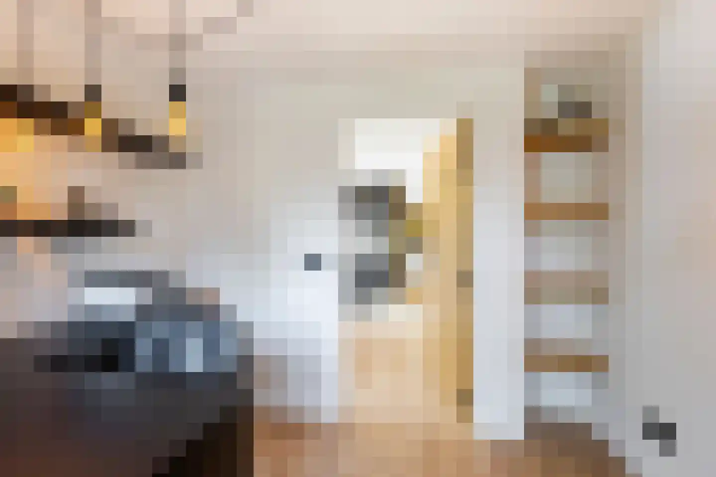 De Griend 1 Ameide thumbnail 43