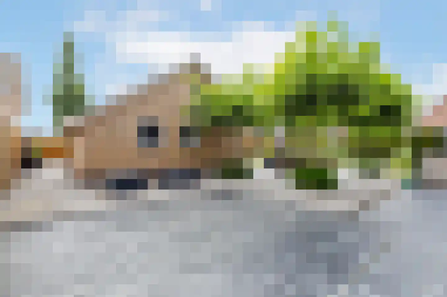 De Griend 1 Ameide thumbnail 47