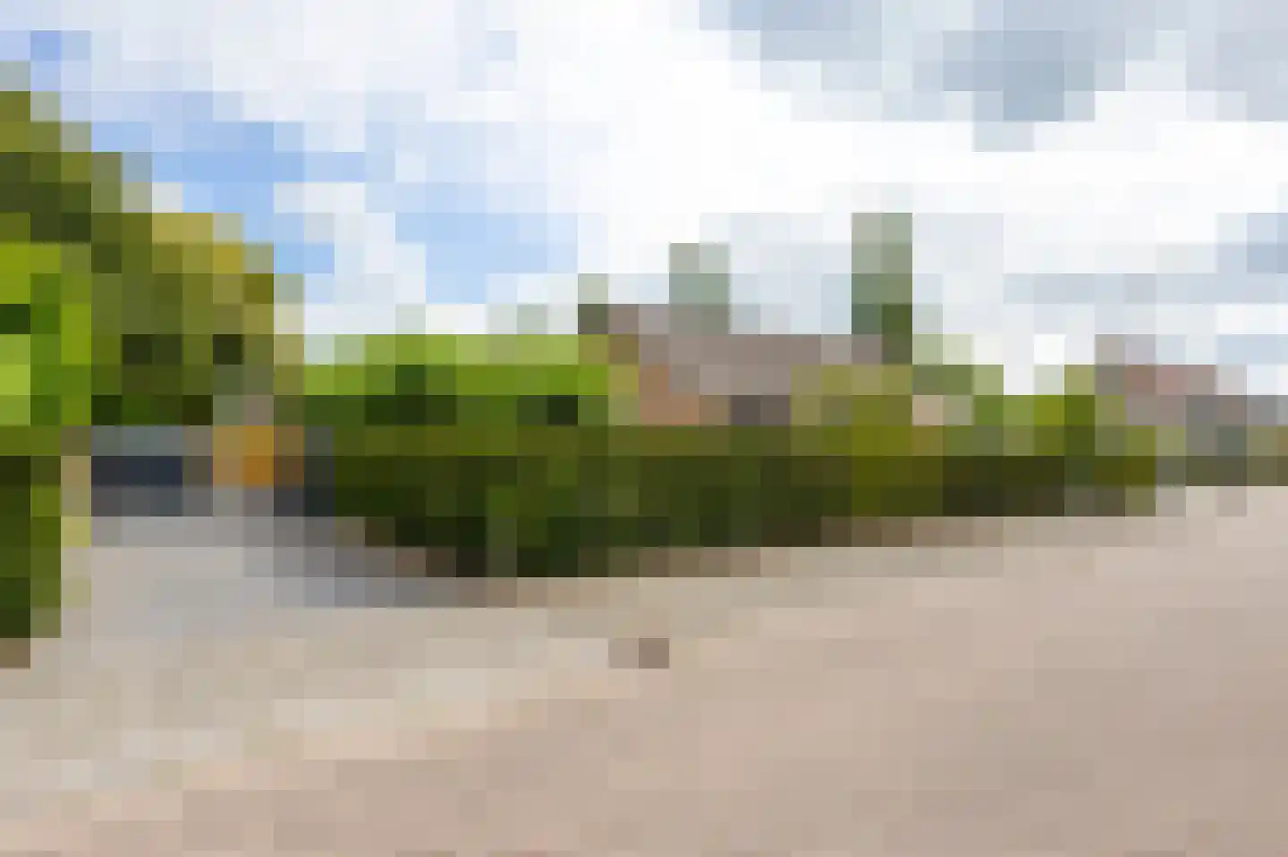 De Griend 1 Ameide thumbnail 52