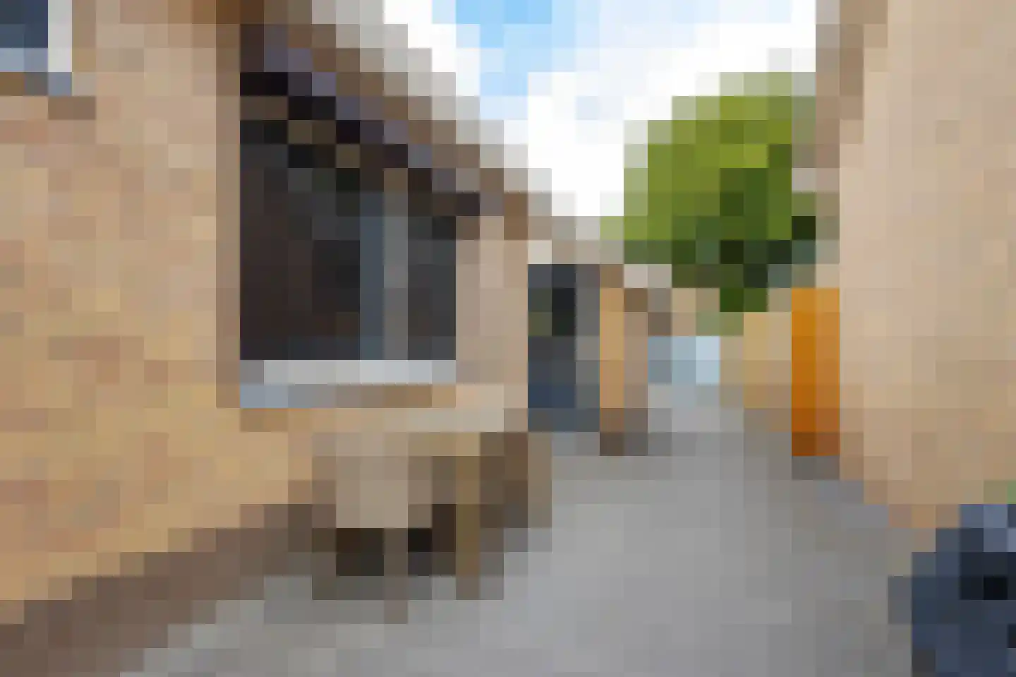 De Griend 1 Ameide thumbnail 53