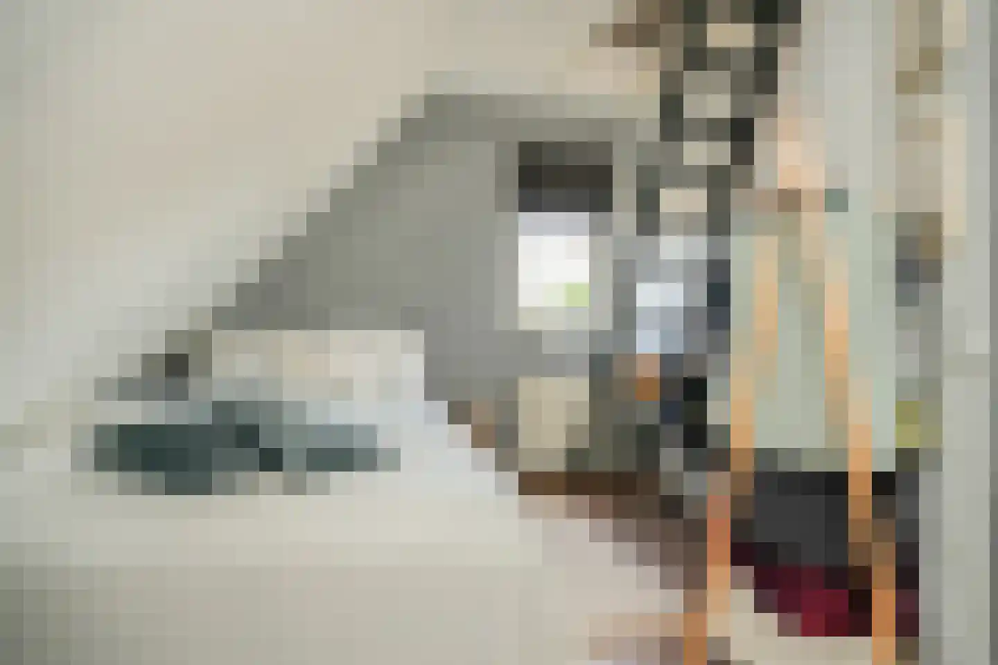 De Griend 2 A Ameide thumbnail 28