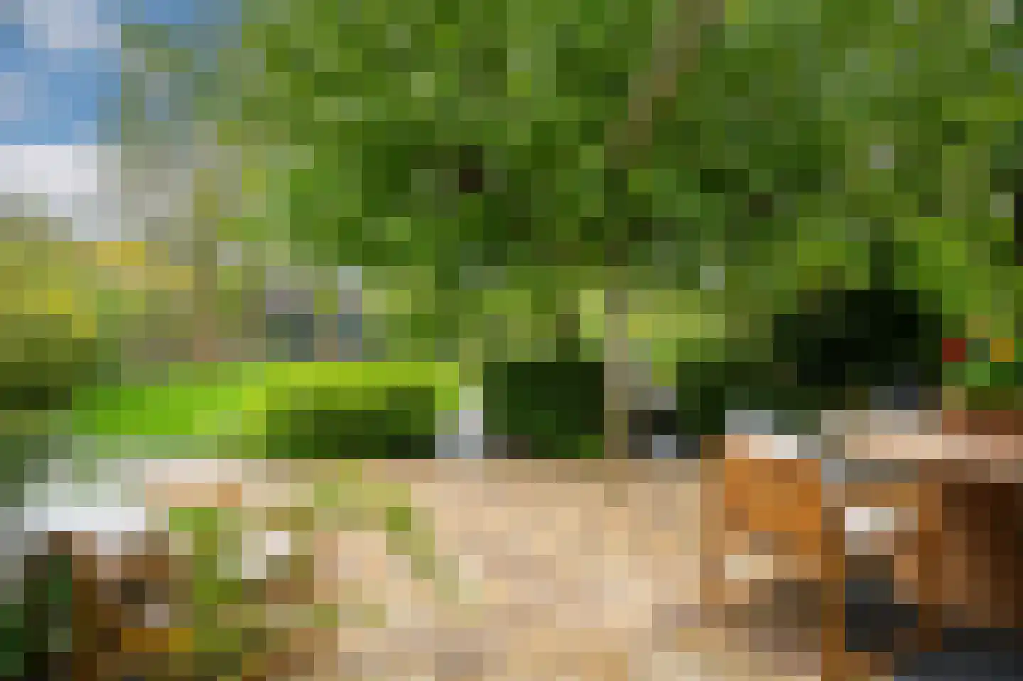 De Griend 2 A Ameide thumbnail 35