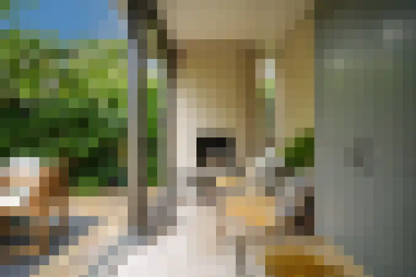 De Griend 2 A Ameide thumbnail 40