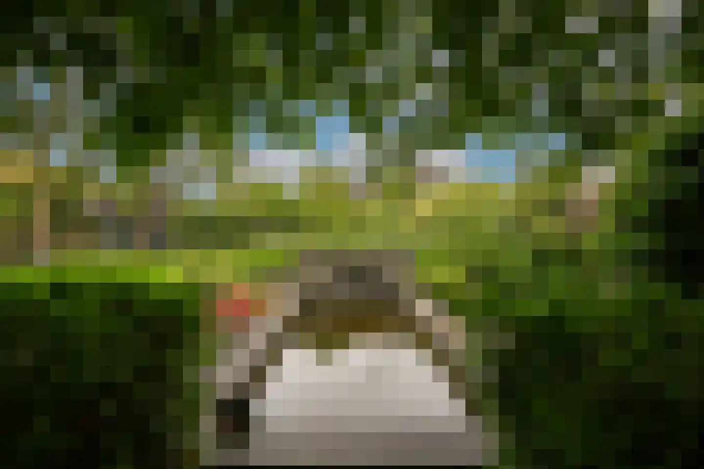 De Griend 2 A Ameide thumbnail 42