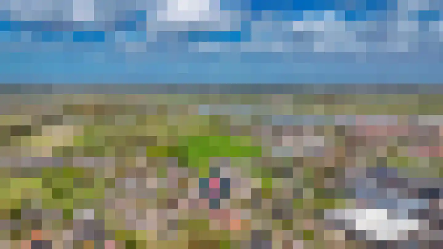 De Griend 2 A Ameide thumbnail 47