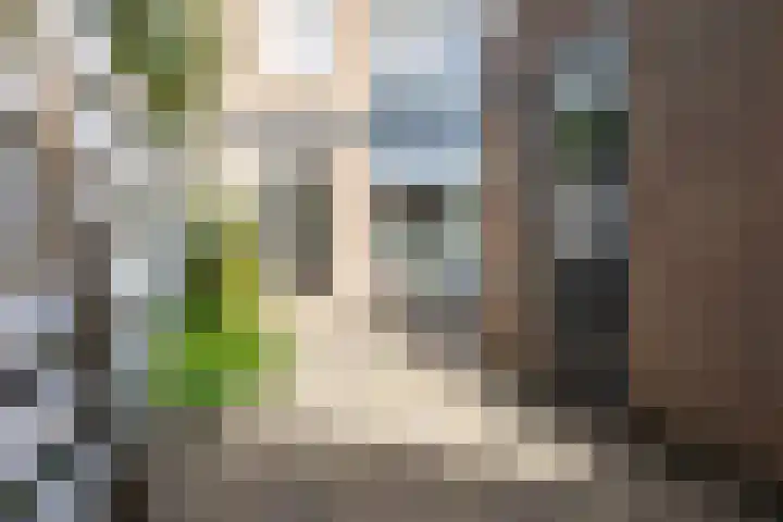 De Griend 2 Moordrecht thumbnail 35