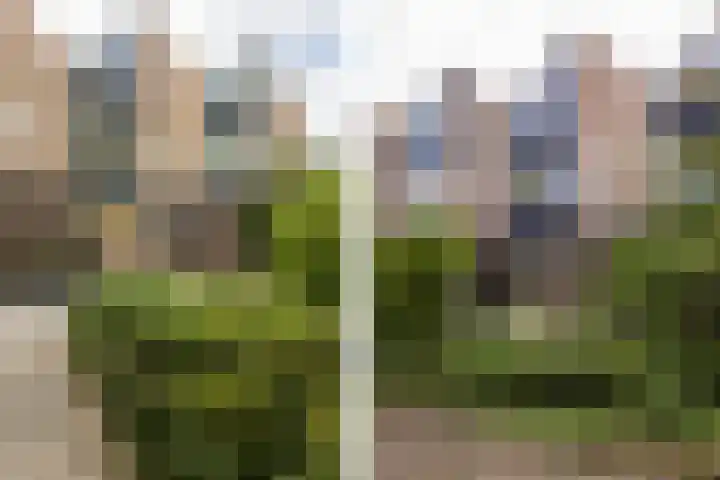 De Griend 2 Moordrecht thumbnail 6