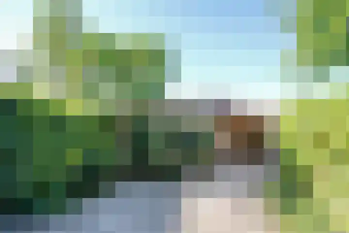 De Griend 6 Moordrecht thumbnail 29