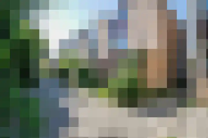 De Griend 6 Moordrecht thumbnail 33