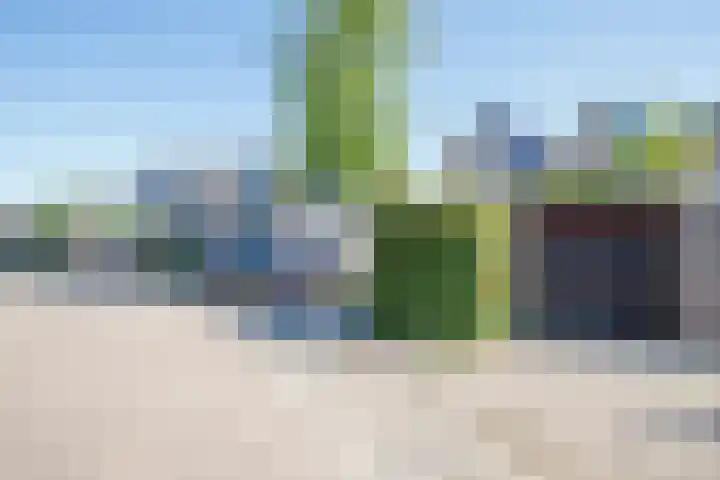De Griend 6 Moordrecht thumbnail 34