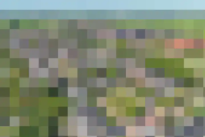 De Griend 6 Moordrecht thumbnail 39