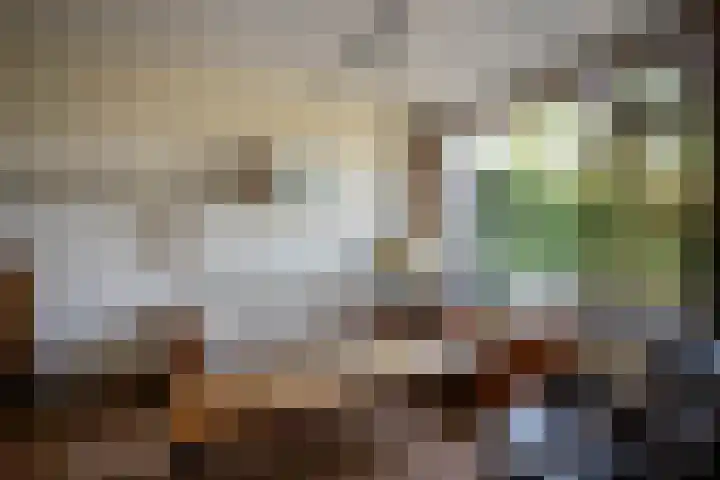 De Griend 6 Moordrecht thumbnail 6