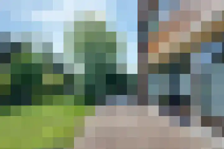 De Grienden 18 Puttershoek thumbnail 36