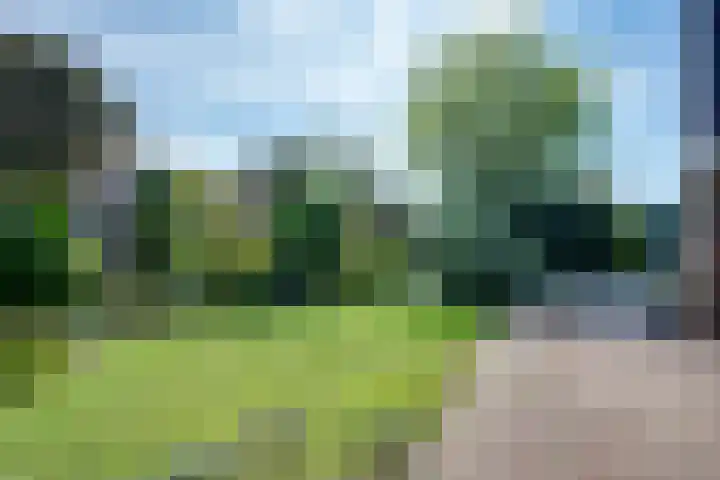 De Grienden 18 Puttershoek thumbnail 37