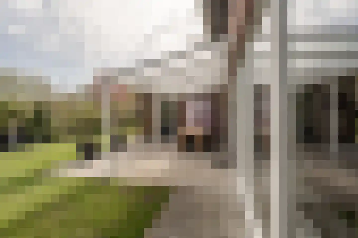 De Grienden 19 Puttershoek thumbnail 30