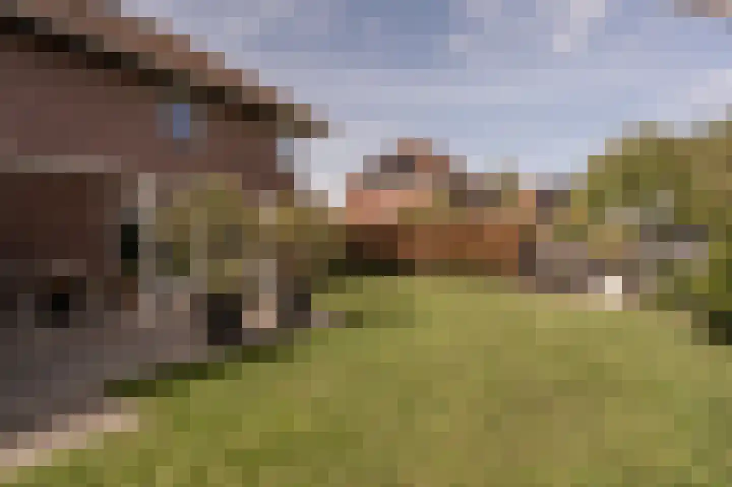 De Grienden 19 Puttershoek thumbnail 32
