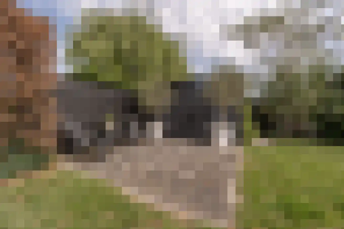 De Grienden 19 Puttershoek thumbnail 35