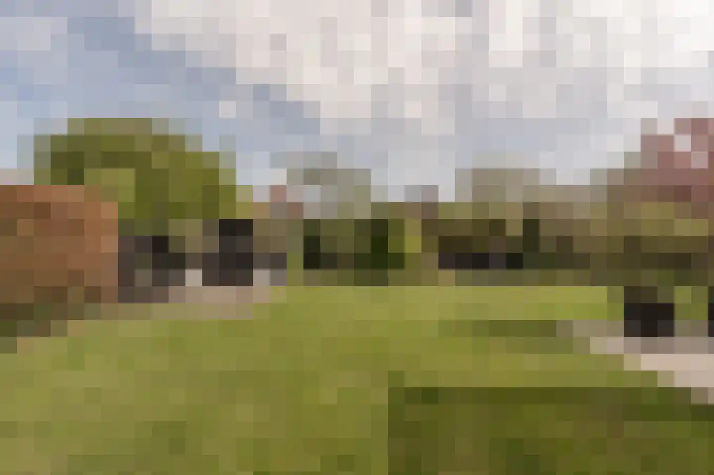 De Grienden 19 Puttershoek thumbnail 37