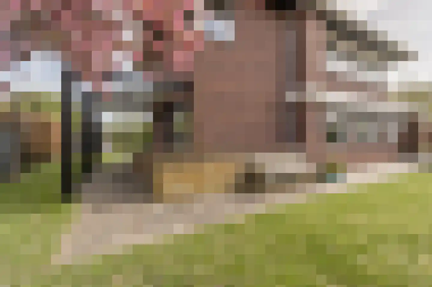 De Grienden 19 Puttershoek thumbnail 38