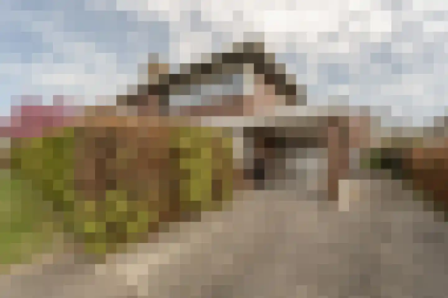 De Grienden 19 Puttershoek thumbnail 40