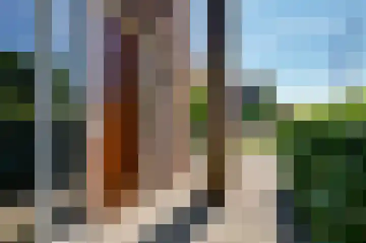 De Grienden 28 Puttershoek thumbnail 10