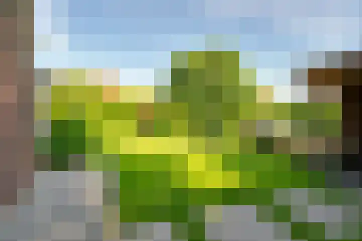 De Grienden 28 Puttershoek thumbnail 26