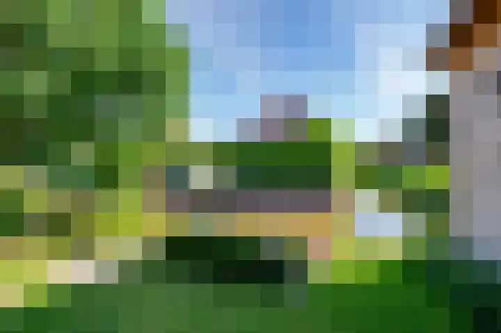 De Grienden 28 Puttershoek thumbnail 30
