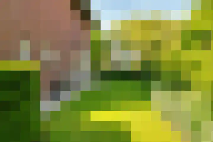 De Grienden 28 Puttershoek thumbnail 37