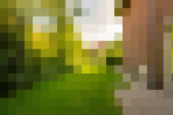 De Grienden 28 Puttershoek thumbnail 38