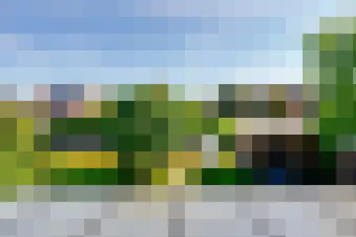 De Grienden 28 Puttershoek thumbnail 49