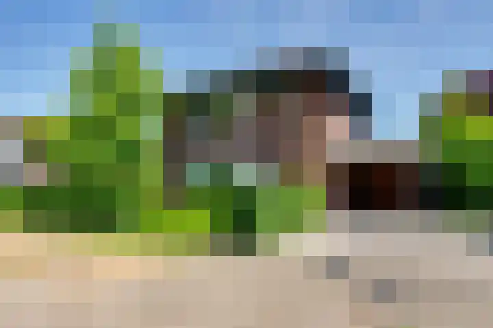 De Grienden 28 Puttershoek thumbnail 8