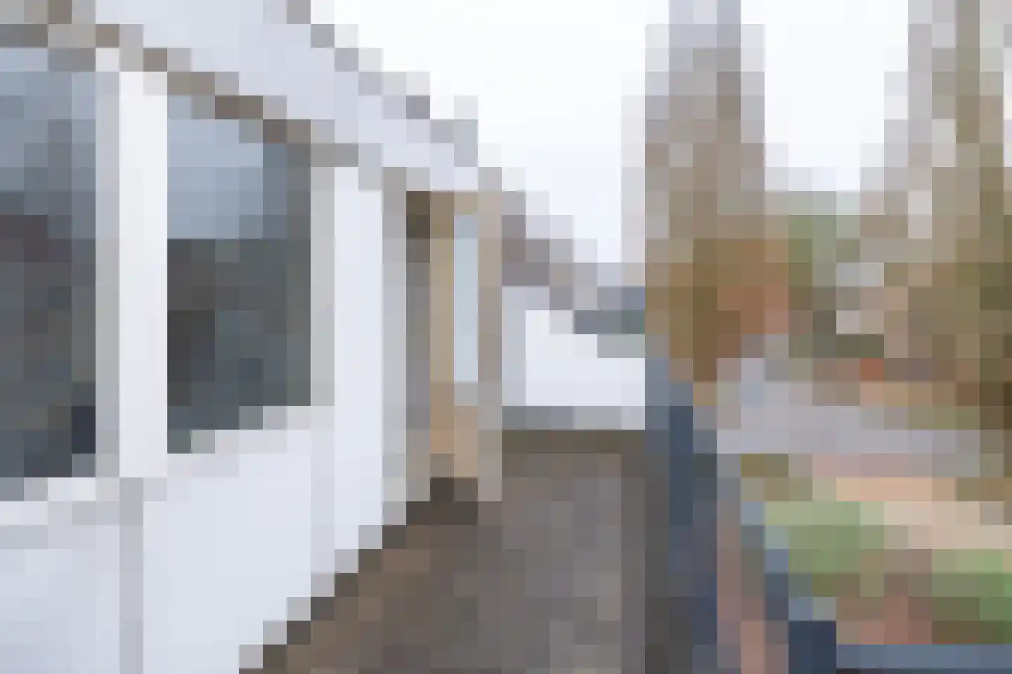 de Griffel 17 Driebergen-Rijsenburg thumbnail 27