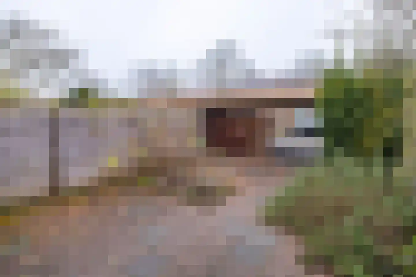 de Griffel 17 Driebergen-Rijsenburg thumbnail 30