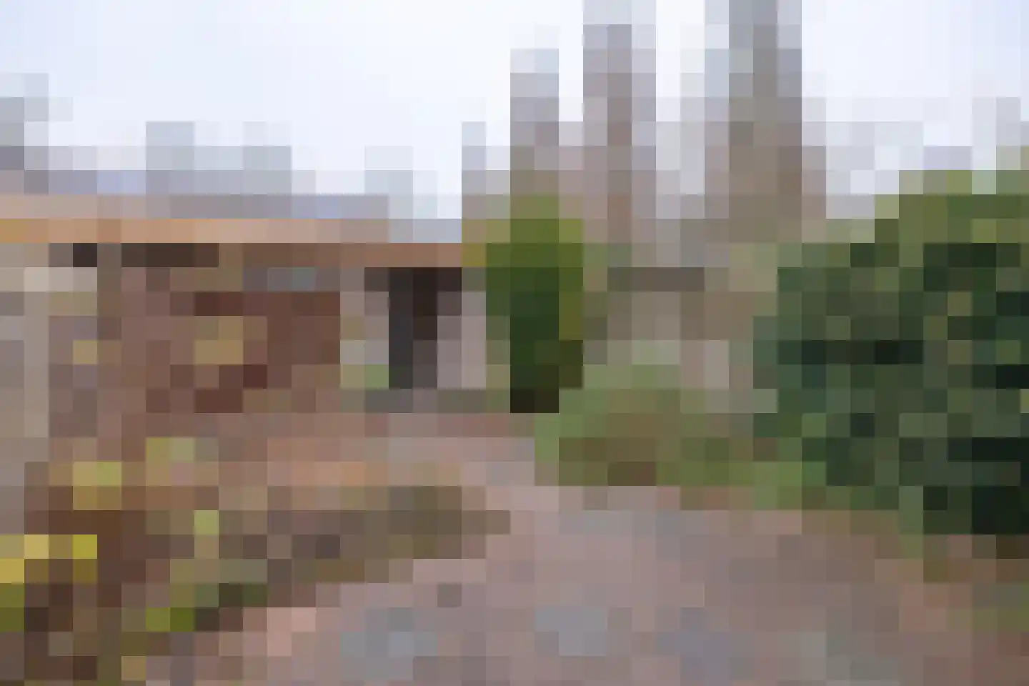 de Griffel 17 Driebergen-Rijsenburg thumbnail 33