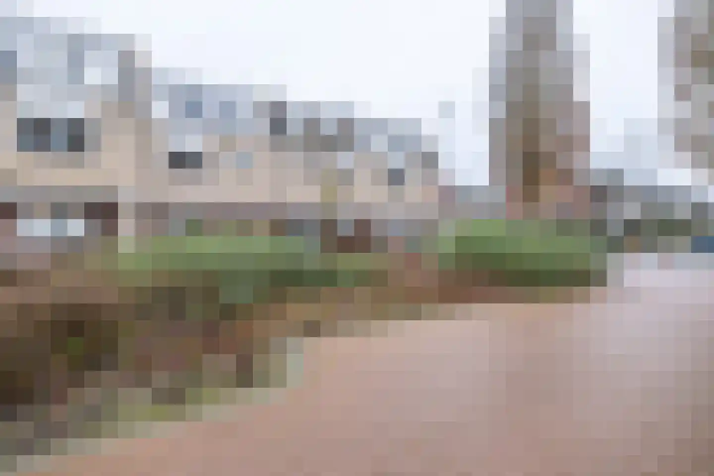 de Griffel 17 Driebergen-Rijsenburg thumbnail 40