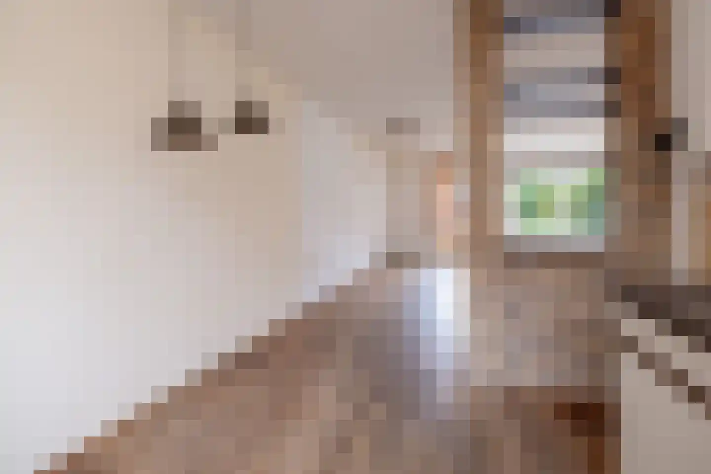 de Griffel 17 Driebergen-Rijsenburg thumbnail 8