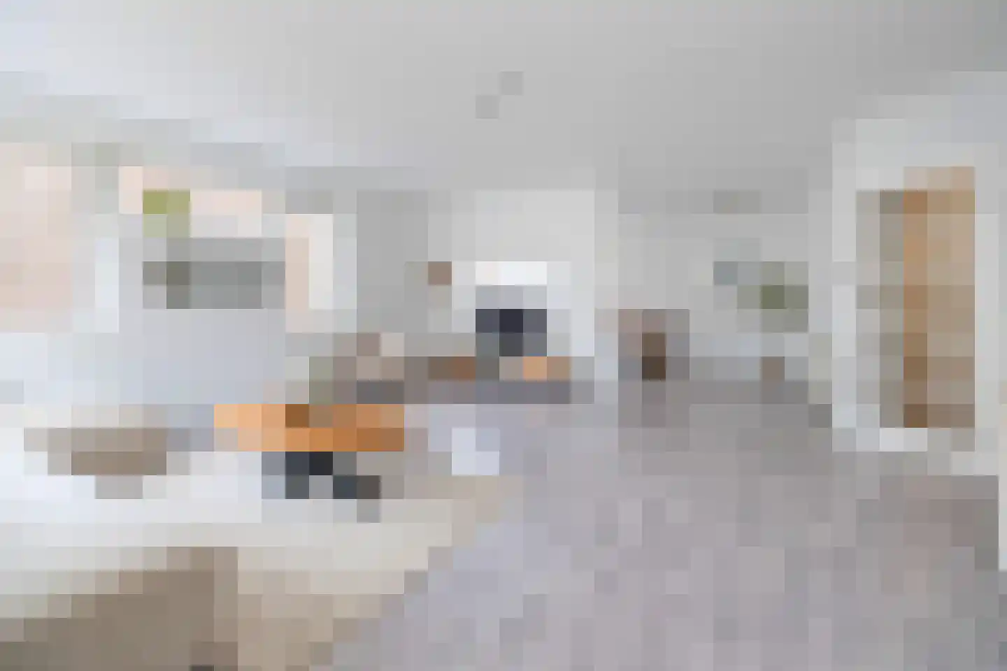 de Griffel 25 Driebergen-Rijsenburg thumbnail 6