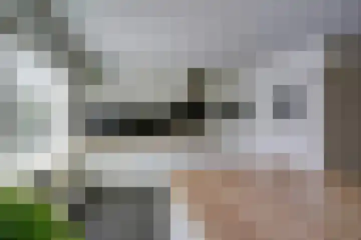 De Griffioen 10 Almelo thumbnail 12