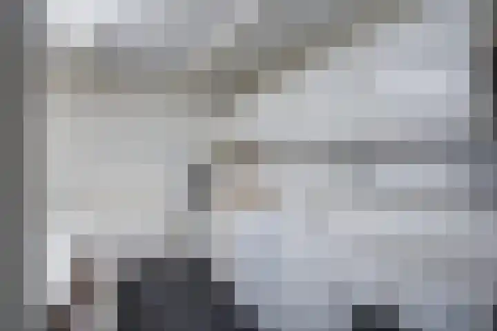 De Griffioen 10 Almelo thumbnail 23